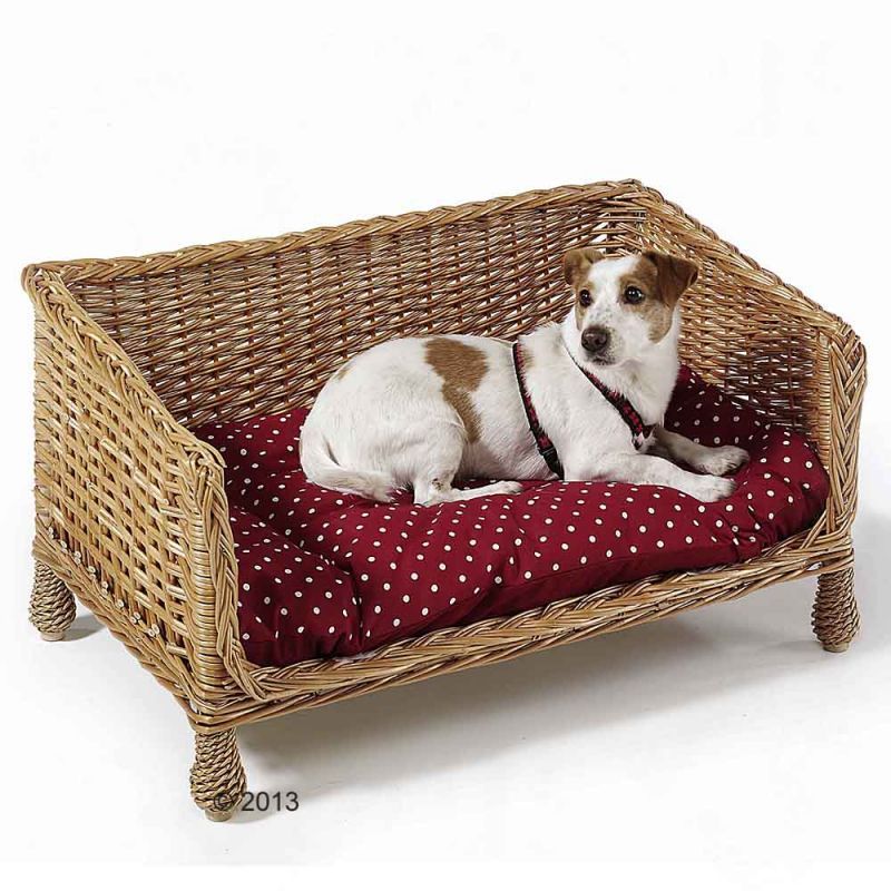 raised wicker dog bed